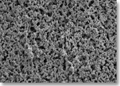 ���r���[ Micropores�i�~300�j